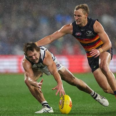 Crows hang tough to silence Cats in the wet