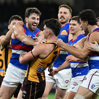 Dogs' spirit shines in comeback win over Hawks