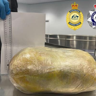 Underpants 'anomaly' leads to jail in cocaine caper