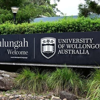 University head stands aside over corruption probe