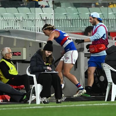 Dogs defender takes down Wizard - and abusive fan
