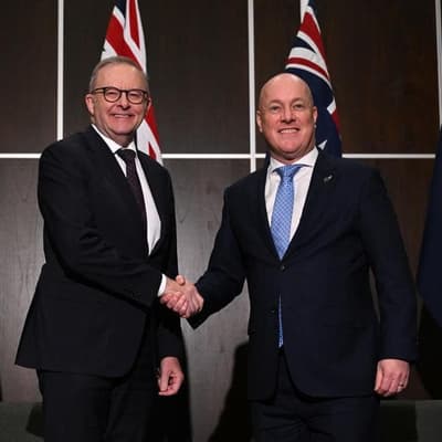 'Apples with oranges': Labor brushes off Kiwi PM's dig