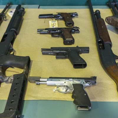 Gun licence 'rubber stamping' process panned by coroner