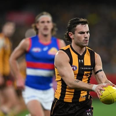 Hawks antagonist Watson receives unlikely support