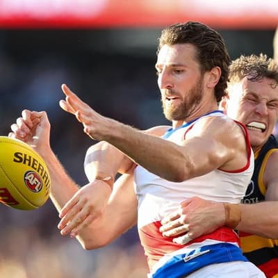 'Love to see it': top Dog and star Crow to cross paths