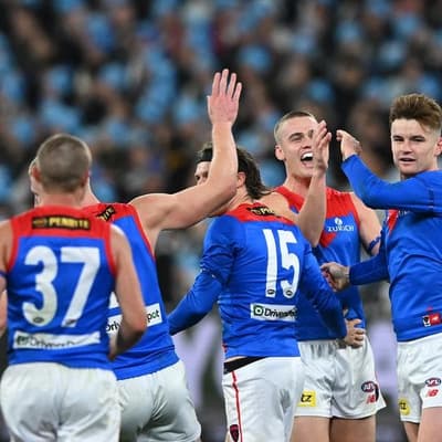Fritsch fires back to form for Demons ahead of Bombers