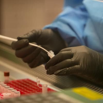 Double jeopardy: laws to be tested after new DNA found