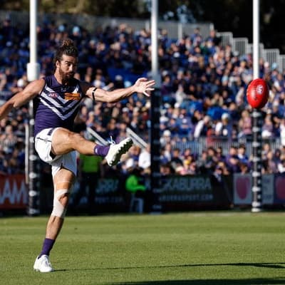 Flag dreams? Dockers trying to keep things grounded