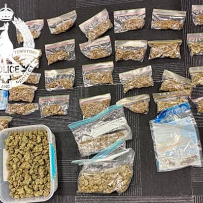 Cat food for cannabis deals lead to contraband kitty