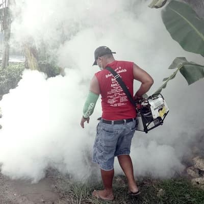 Climate concerns after worst dengue season in years