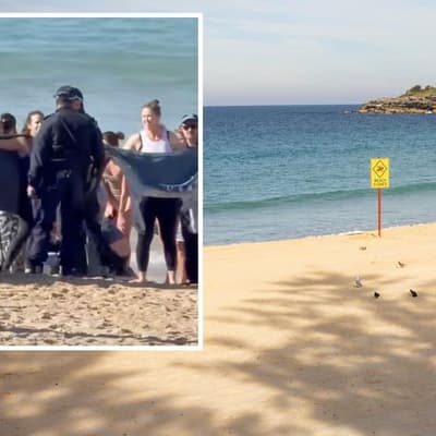 'Incredibly tragic': shark attack spooks swimmers