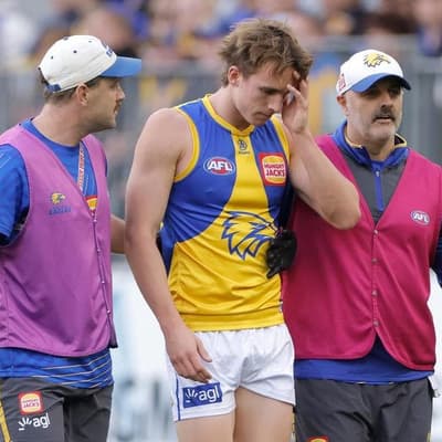 Curtis cops ban, Eagles confused by HIA bench blunder