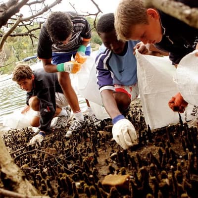 Climate education is patchy and teachers need help