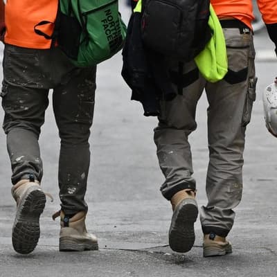 Builders hopeful pricey degrees boost tradie numbers