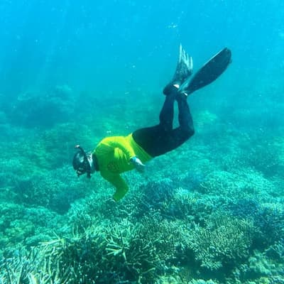 Record reef funding in fight against 'in danger' ruling