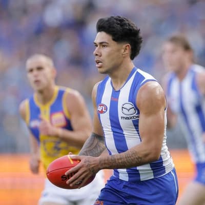 North to take Curtis three-match ban to AFL tribunal