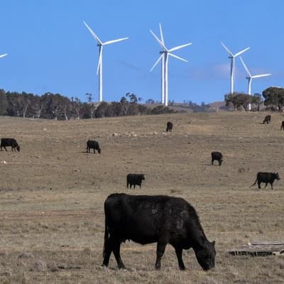 Super funds lagging on direct renewables investment