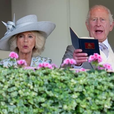 King watches Aussie Ascot raiders fade in final furlong