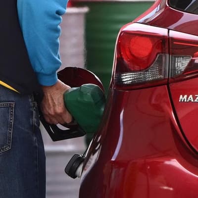 'Dig baby dig': Hanson pumps up domestic fuel industry