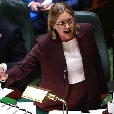 Labor dismisses doomed no-confidence vote in premier