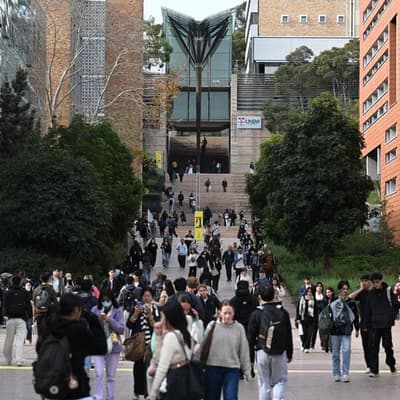 Australian unis 'punch above their weight' in rankings