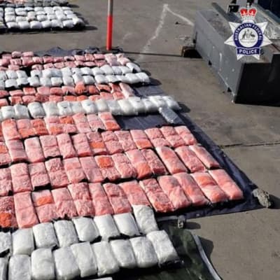 Alleged $830m meth schemer flees after police release