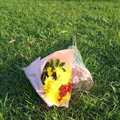 'Absolute disgrace': fatal park attack shocks parents