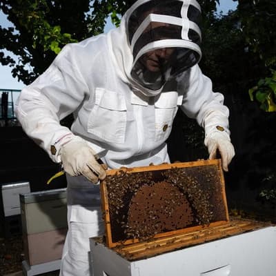 Sweet relief: emergency worker fighting fire with honey