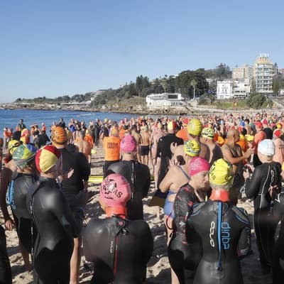 Big swim-out show of solidarity for shark attack victim