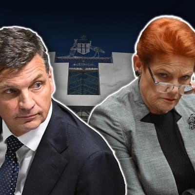 Liberals fight member exodus as One Nation surges