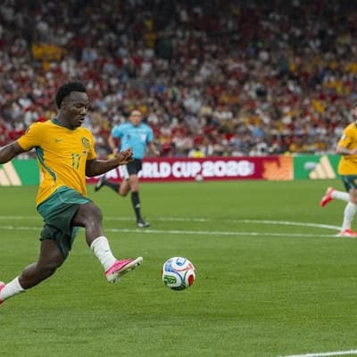 'Never easy': Jedinak brushes off Socceroos critics