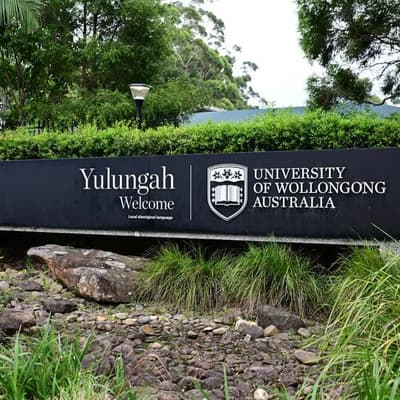 'Loyalty, perhaps favouritism': probe into uni nepotism