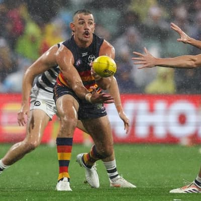 Crows great undecided on whether to extend career
