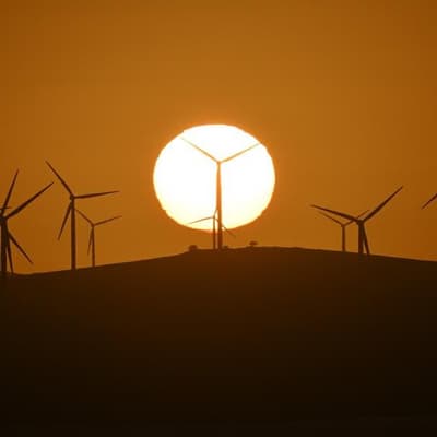 Renewables heat up post-budget stoush over One Nation