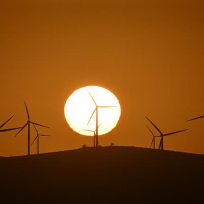 Outback powerhouse: regions could solve Aussie AI issue