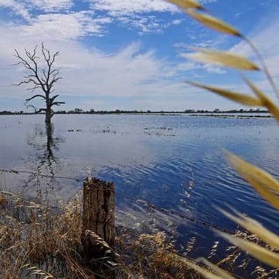 Hopes of a path forward for the Murray-Darling Basin