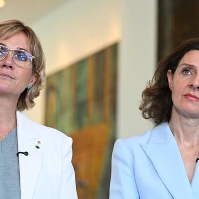 'Broad church': teal party considering election tilts