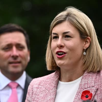 'No offence' determination after Lib assault allegation