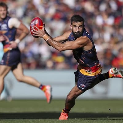 Rules changes leading to more injuries: Crows coach