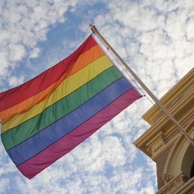 No, new law does not define pedophiles as part of LGBTQI community