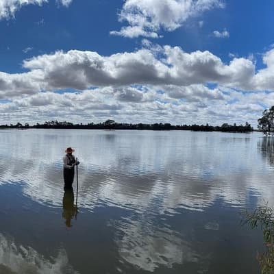 The secret life of birds on river's precious wetlands