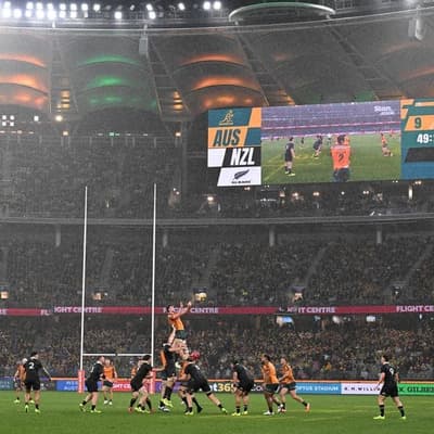Anzac Day Test confirmed, Bledisloe Cup to change
