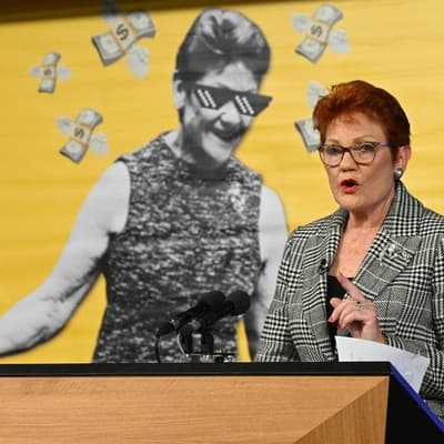 Hanson slides in the polls after voter 'reality check'