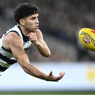 'We're not a charity': Cats coach on absent goalsneak