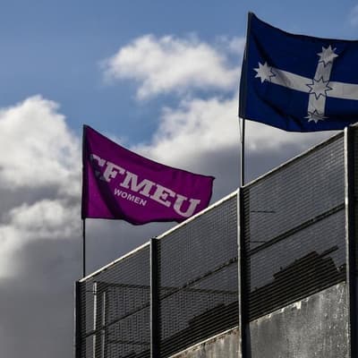 'Fear for the future': rushed laws risk corruption