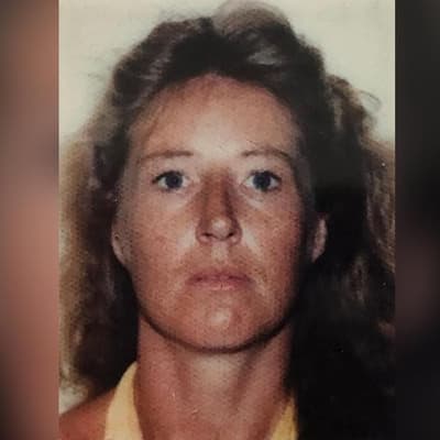 Tip-offs spark second inquest for missing hitchhiker