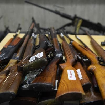 'Privilege, not a right': cops to curb who can own guns