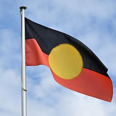 Indigenous-run business quotas target 'black cladding'