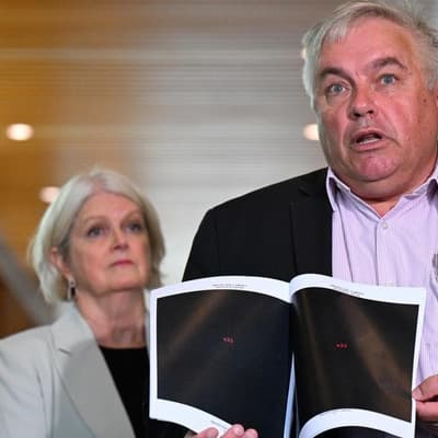 MPs blast potential legal bill for FOI request