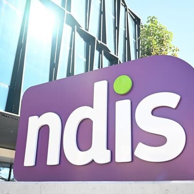 Labor-led committee calls for tougher NDIS fraud rules